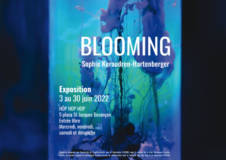 Expo Blooming, de Sophie Keraudren – restitution de la résidence d'artiste à ELLIADD