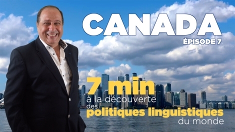 Politique linguistique : Corpus, Statut, Francophonie